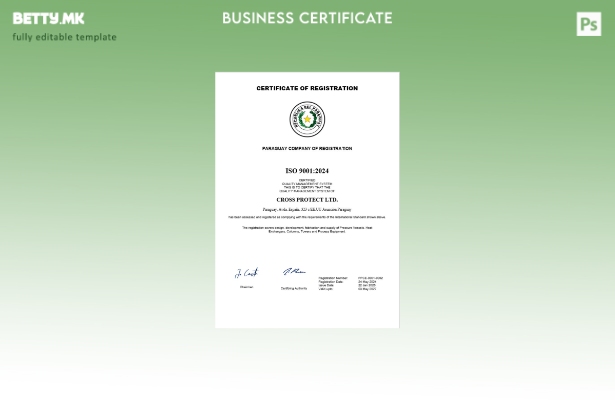 модерен стил Парагвајски сертификат за регистрација на бизнис Шаблон за Word и P